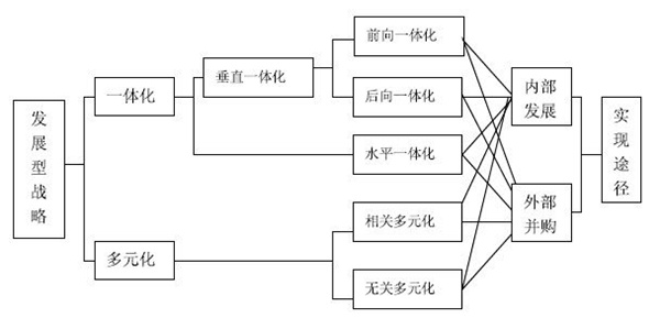 公司層戰略的類型和原則 公司層戰略的類型和原則