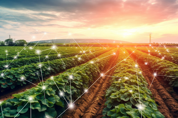 「咨詢公司」供應(yīng)鏈管理的目的和意義是什么？