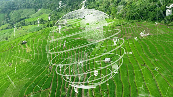 制定年度經營計劃:實現可持續發展目標 制定年度經營計劃:實現可持續發展目標