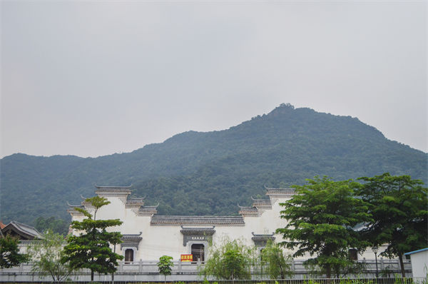 子公司各自為戰(zhàn)內(nèi)耗大，佛山集團(tuán)管控咨詢公司有何整合之道？